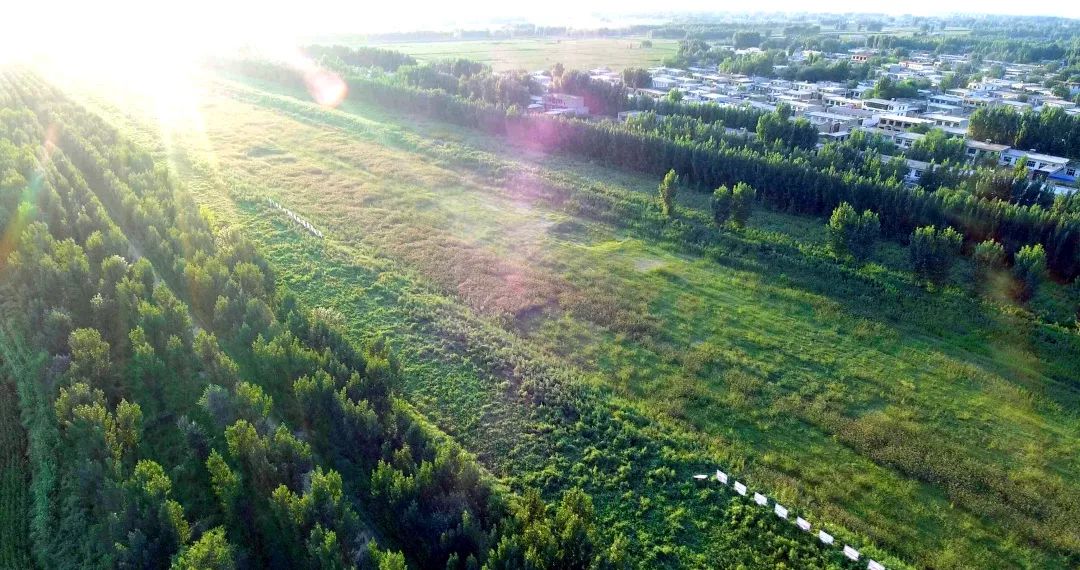唐河污水庫工程